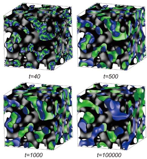 図１　三次元多孔質中の相分離構造