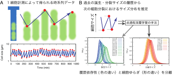 図１_小林研.png