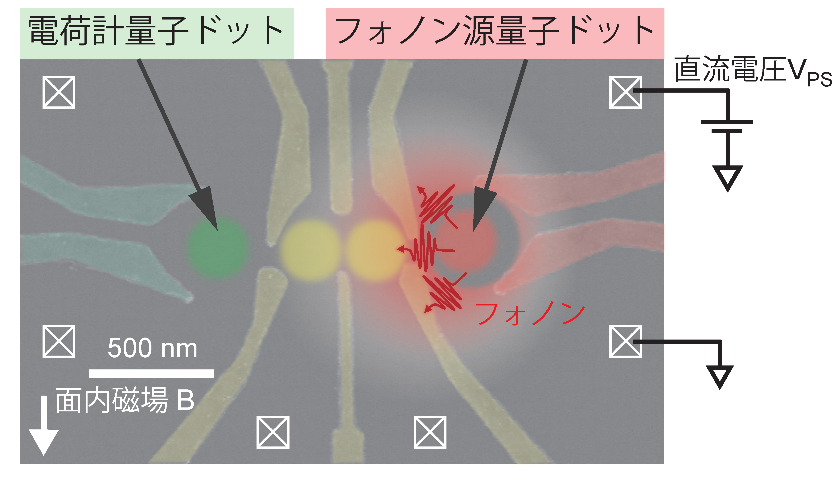 理研図1.png