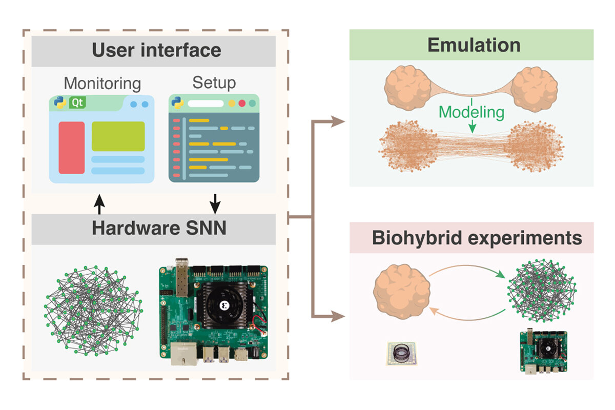 bioemus_overview（1200_800）.jpg