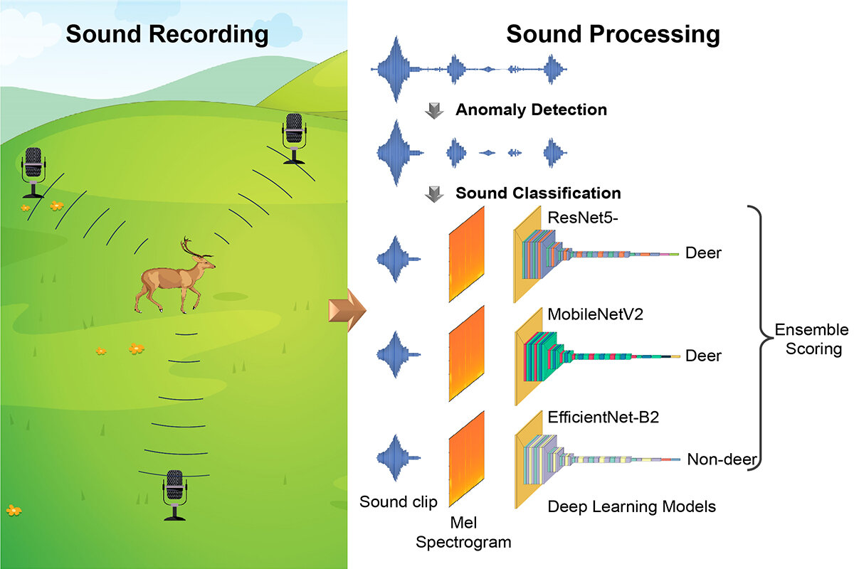 AIを利用した音声分析技術でシカの行動実態に迫る（1200_800）.jpg